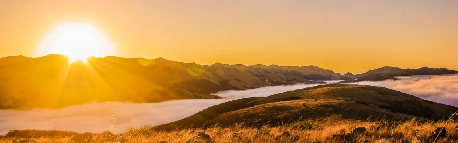 Things to Do and Must See Attractions in San Luis Obispo